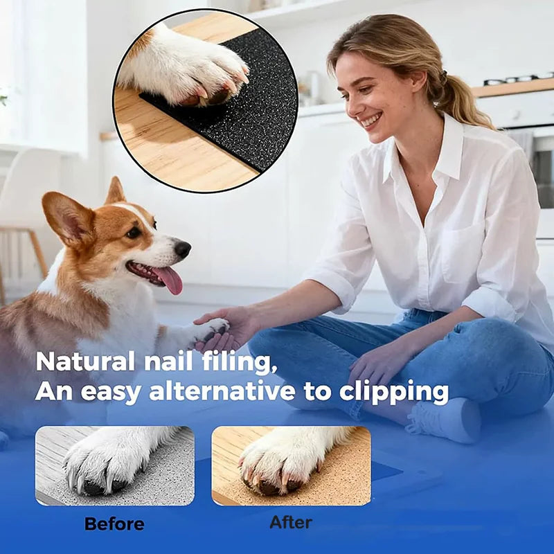Pet Scratching Board with Built-in Treat Box Dog Nail Trim Pad Pull-Out Nail Scratch Board Toy Sandpaper Board Scratcher for Dog